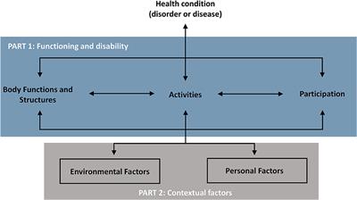 Implementation of the International Classification of Functioning, Disability and Health model in cochlear implant recipients: a multi-center prospective follow-up cohort study